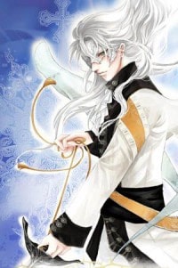 騎士征程